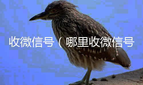 收微信号回收微信平台（哪里收微信号）